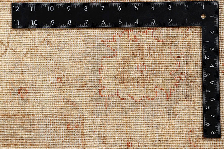 Ziegler 5' 7 x 8' 6 - No. 61341 - ALRUG Rug Store