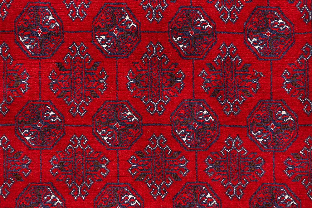 Bokhara 2' 10 x 12' 7 - No. 61384 - ALRUG Rug Store