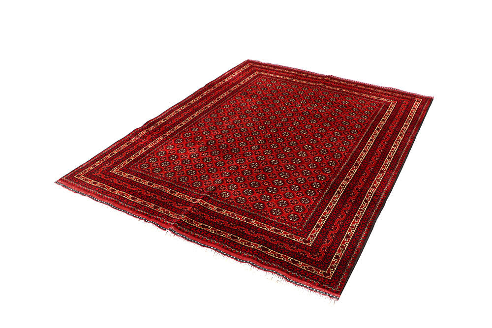 Firebrick Baluchi 5' x 6' 5 - No. 61824 - ALRUG Rug Store