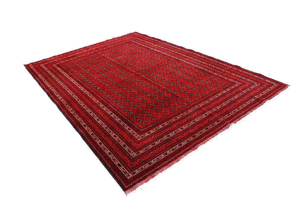 Firebrick Baluchi 6' 7 x 9' 5 - No. 61836 - ALRUG Rug Store