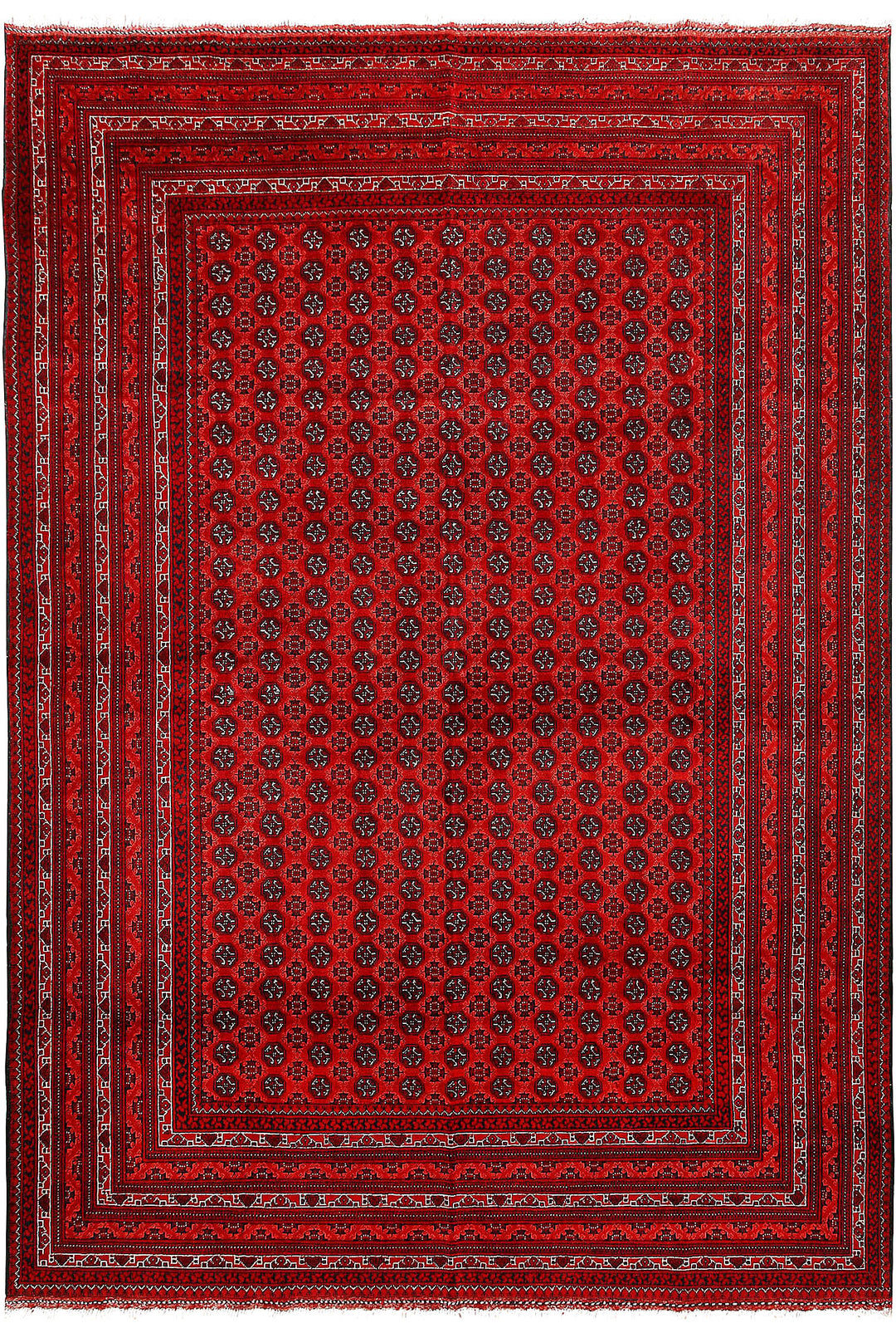 Firebrick Baluchi 6' 7 x 9' 5 - No. 61836 - ALRUG Rug Store