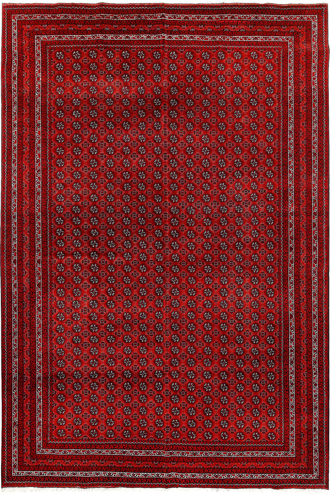 Firebrick Baluchi 6' 6 x 9' 6 - No. 61838 - ALRUG Rug Store