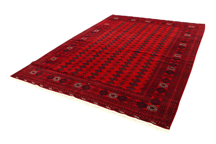 Firebrick Bokhara 7' 1 x 9' 5 - No. 61845 - ALRUG Rug Store