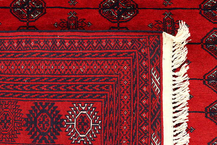 Firebrick Bokhara 7' 1 x 9' 5 - No. 61845 - ALRUG Rug Store