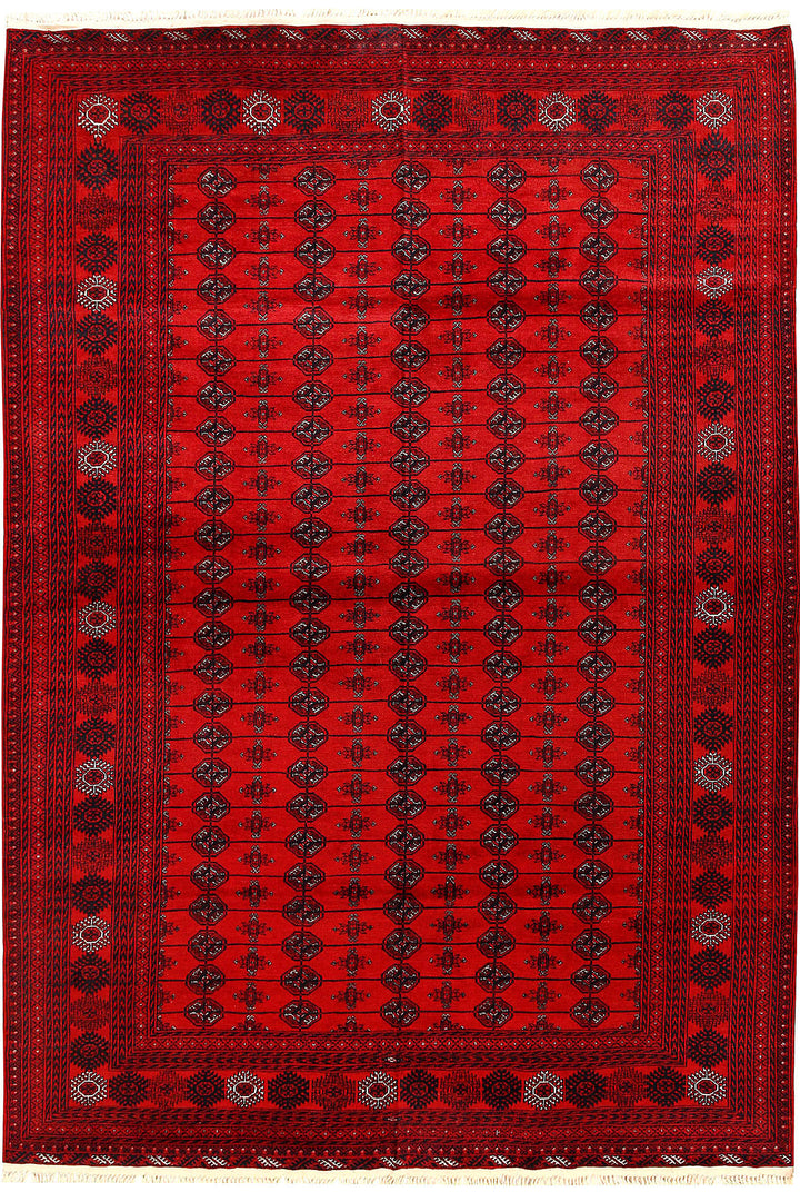 Firebrick Bokhara 6' 9 x 9' 7 - No. 61847 - ALRUG Rug Store
