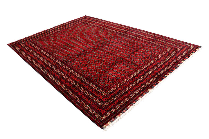 Firebrick Baluchi 6' 6 x 9' 7 - No. 61849 - ALRUG Rug Store