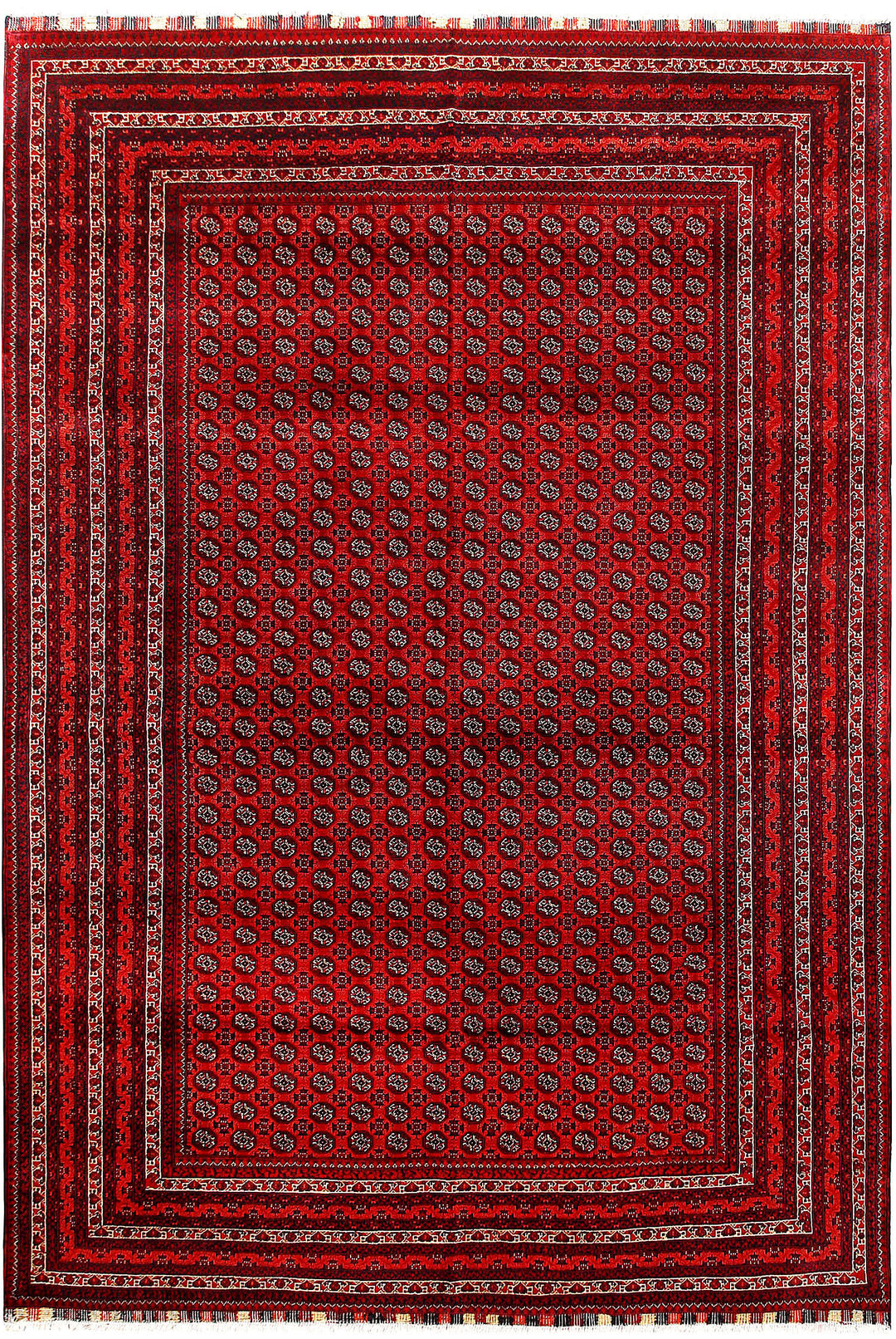 Firebrick Baluchi 6' 6 x 9' 7 - No. 61849 - ALRUG Rug Store