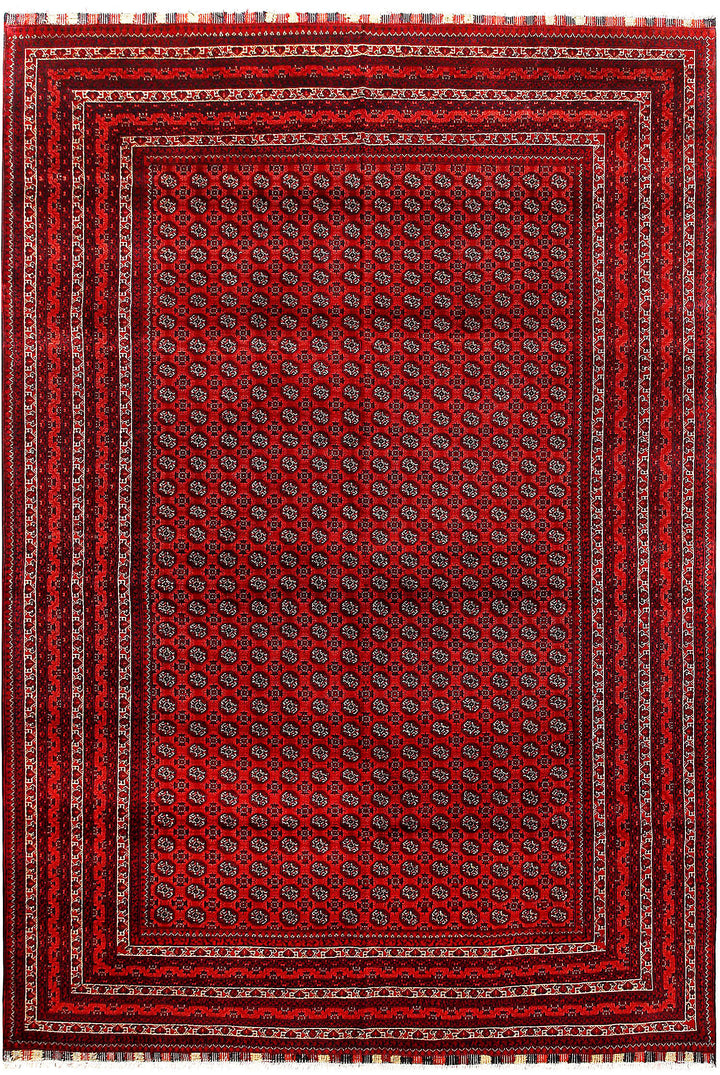 Firebrick Baluchi 6' 6 x 9' 7 - No. 61849 - ALRUG Rug Store