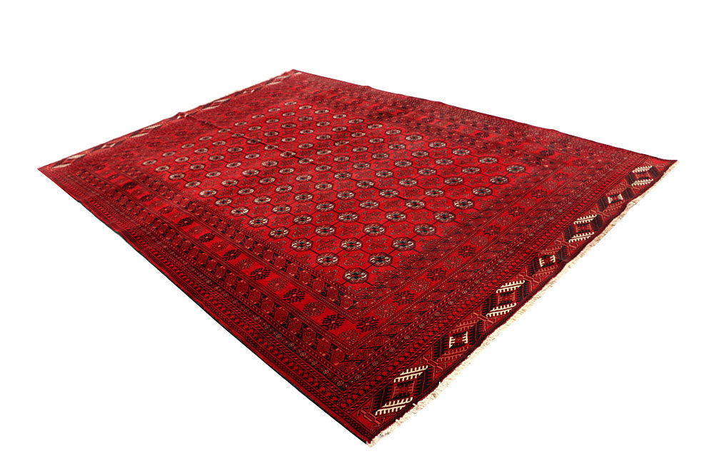 Firebrick Baluchi 6' 7 x 9' 7 - No. 61851 - ALRUG Rug Store