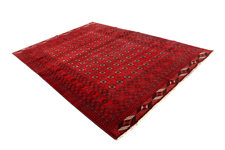 Firebrick Baluchi 6' 7 x 9' 7 - No. 61851 - ALRUG Rug Store