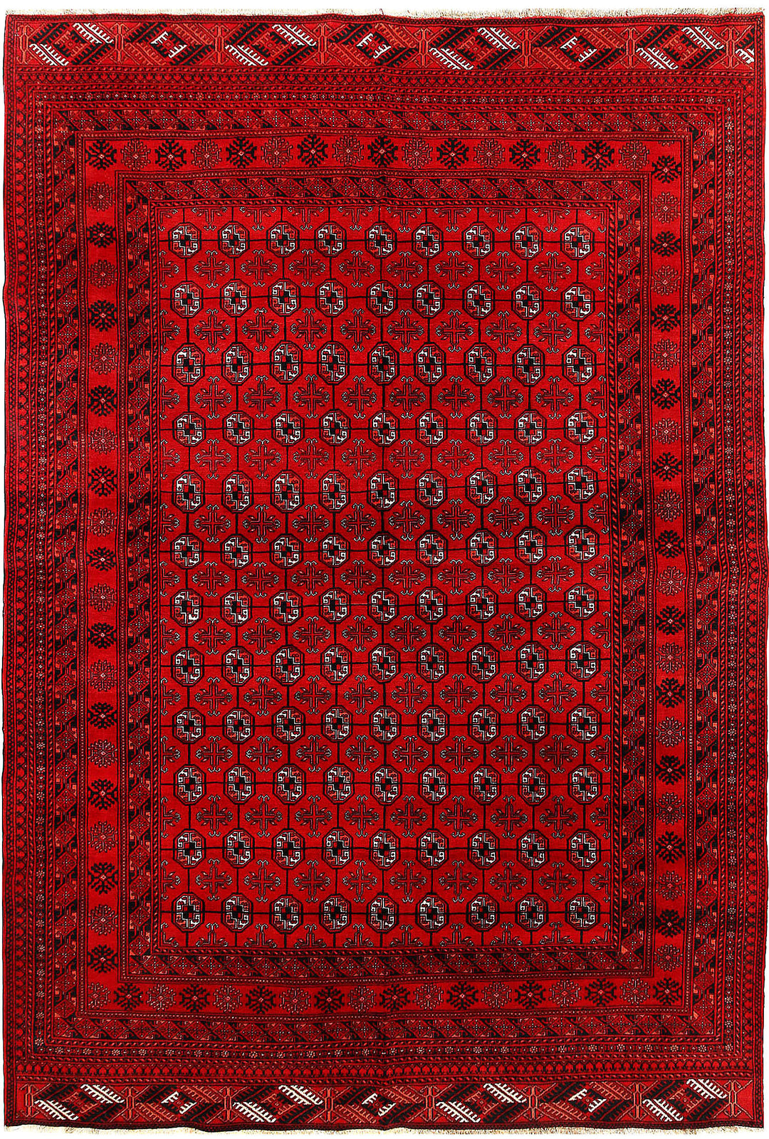 Firebrick Baluchi 6' 7 x 9' 7 - No. 61851 - ALRUG Rug Store