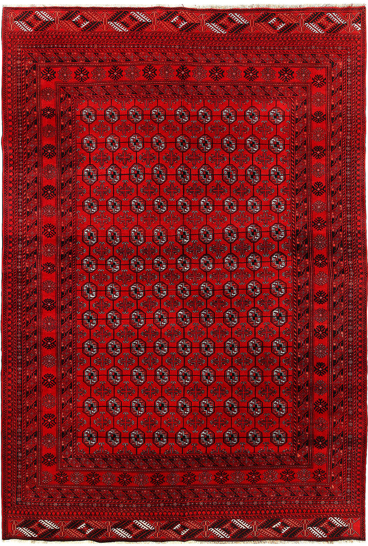 Firebrick Baluchi 6' 7 x 9' 7 - No. 61851 - ALRUG Rug Store
