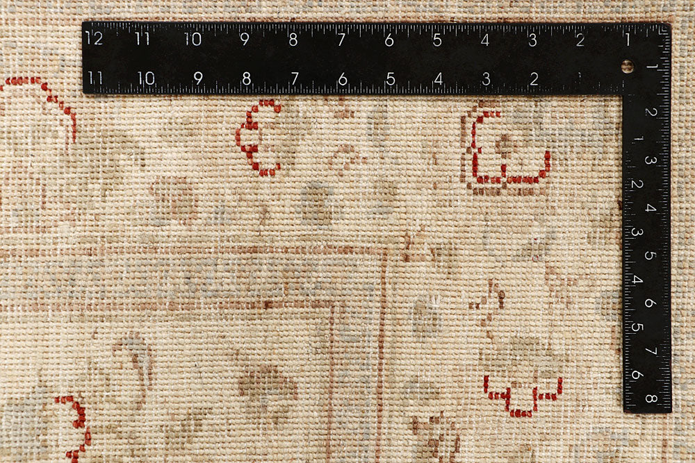 Blanched Almond Ziegler 3' 10 x 5' 9 - No. 64643 - ALRUG Rug Store