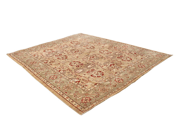 Tan Ziegler 8' 1 x 9' 10 - No. 64787 - ALRUG Rug Store