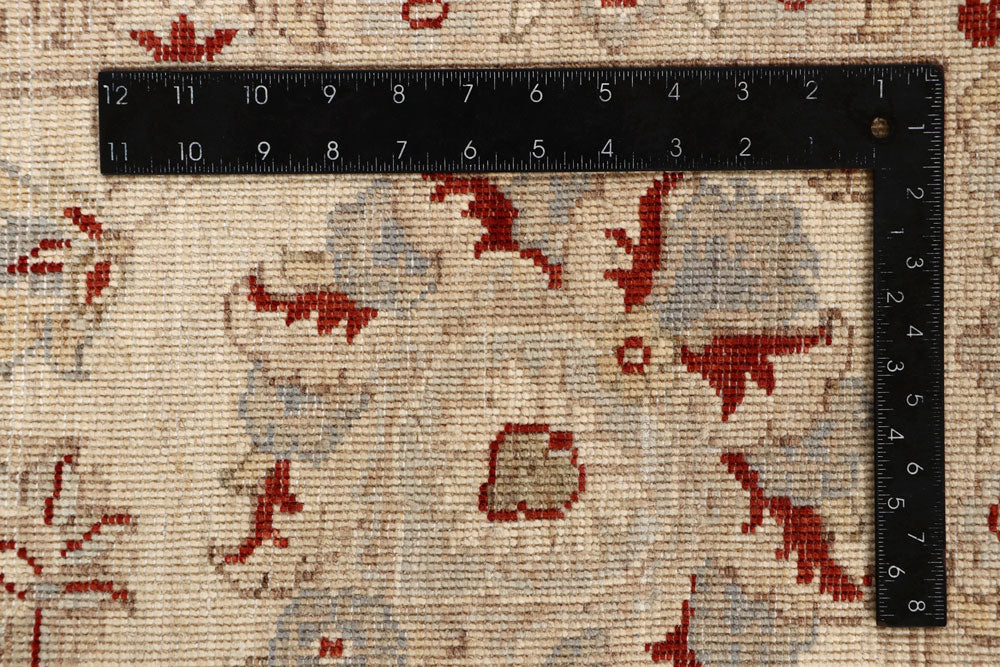 Blanched Almond Ziegler 9' x 11' 8 - No. 64894 - ALRUG Rug Store