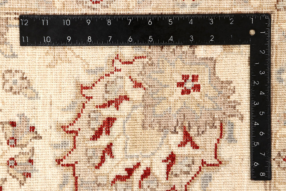 Firebrick Ziegler 9' x 11' 11 - No. 65039 - ALRUG Rug Store