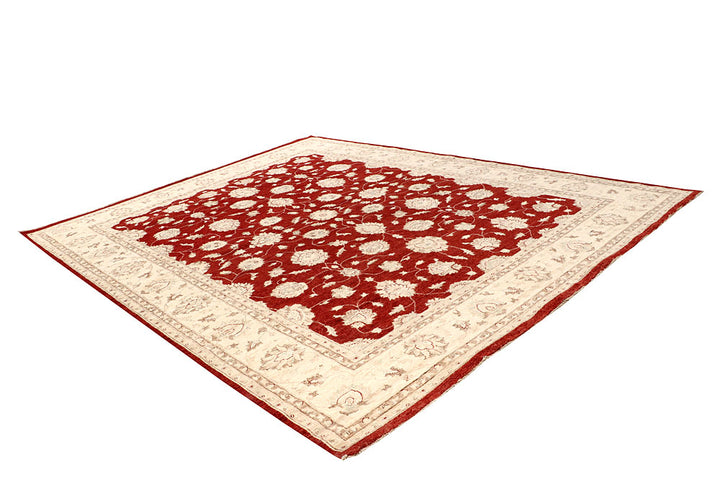 Firebrick Ziegler 9' x 11' 9 - No. 65048 - ALRUG Rug Store