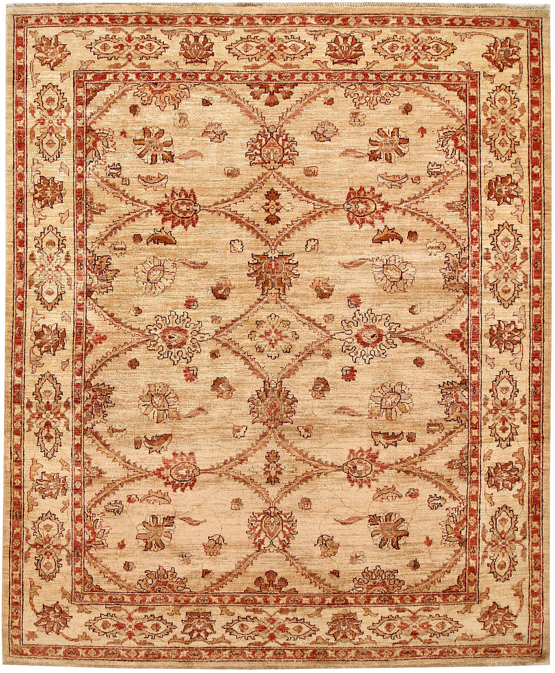 Tan Ziegler 6' 9 x 8' - No. 65580 - ALRUG Rug Store
