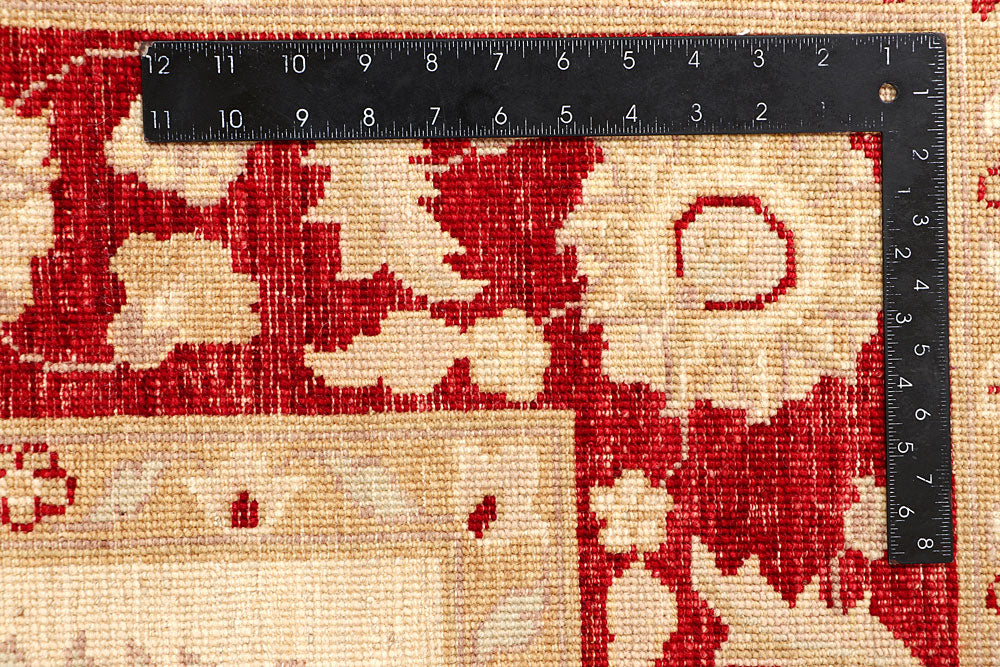 Cornsilk Ziegler 5' 6 x 7' 11 - No. 65716 - ALRUG Rug Store