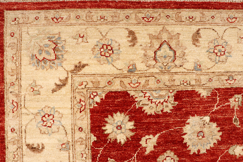 Brown Ziegler 6' 7 x 19' 4 - No. 66462 - ALRUG Rug Store