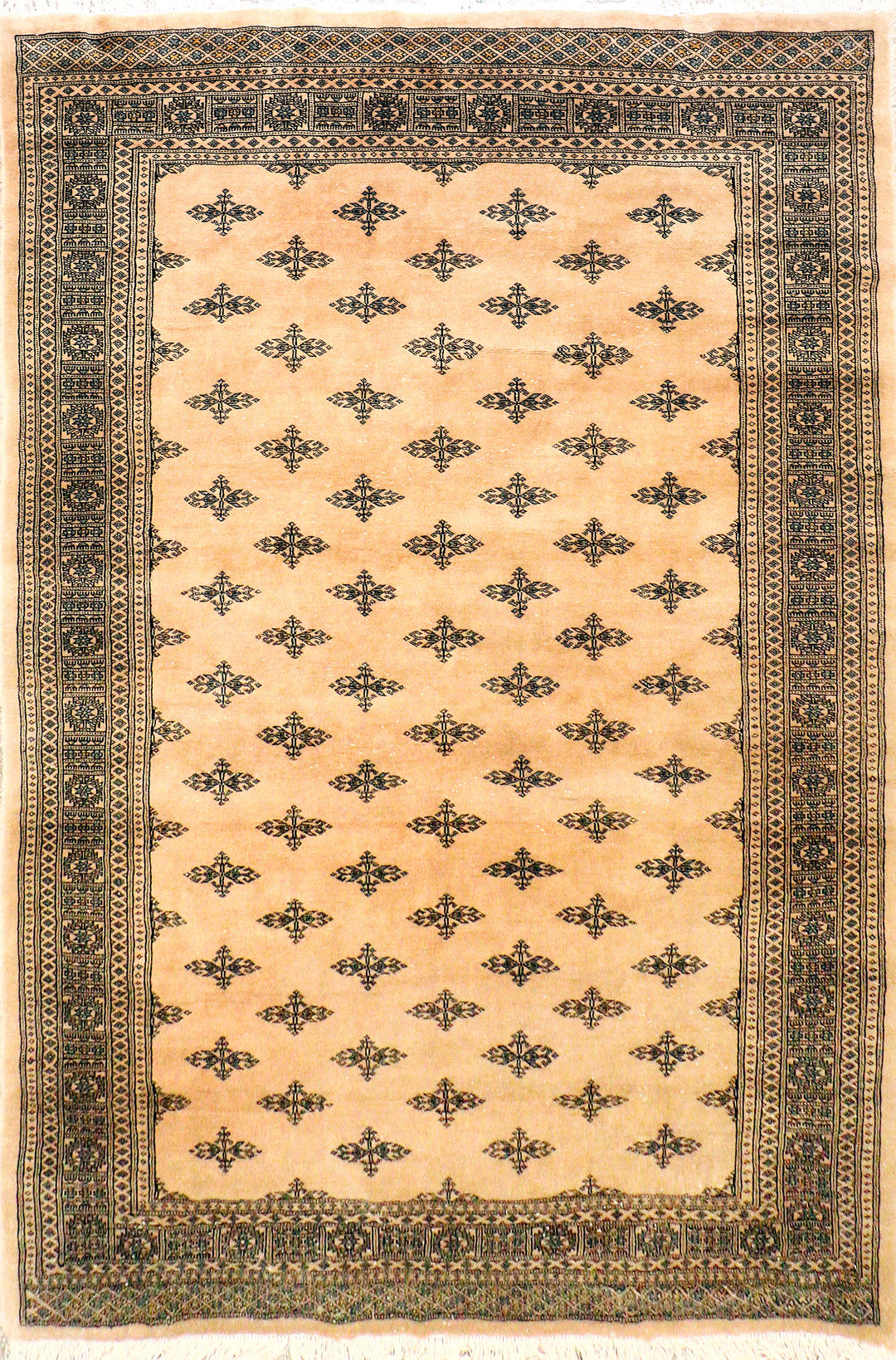 Bisque Butterfly 6' 8 x 10' 1 - No. 69625 - ALRUG Rug Store