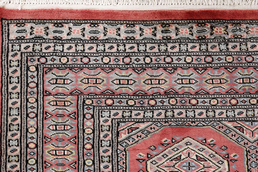 Tomato Jaldar 4'  x" 6'  1" - No. QA36908