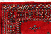 Firebrick Butterfly 4' x 6' - No. 72482