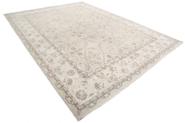 Brown Pakistani Ariana Rug 10'0" x 13'6" Hand-Knotted view 12