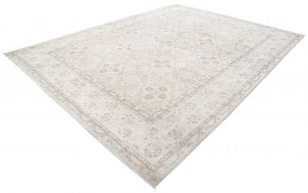 Brown Pakistani Ariana Rug 10'0" x 13'6" Hand-Knotted view 13