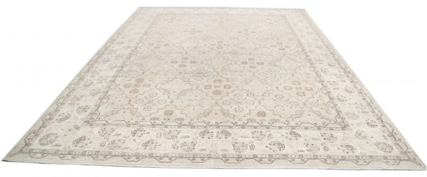Brown Pakistani Ariana Rug 10'0" x 13'6" Hand-Knotted view 14