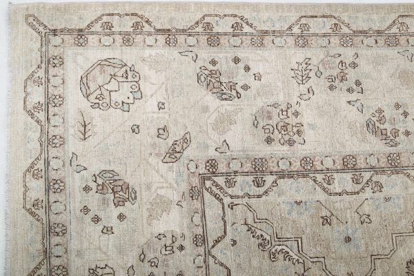 Brown Pakistani Ariana Rug 10'0" x 13'6" Hand-Knotted view 16
