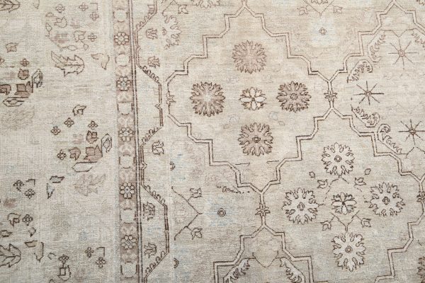 Brown Pakistani Ariana Rug 10'0" x 13'6" Hand-Knotted view 17