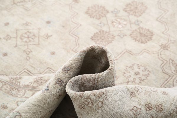 Brown Pakistani Ariana Rug 10'0" x 13'6" Hand-Knotted view 18