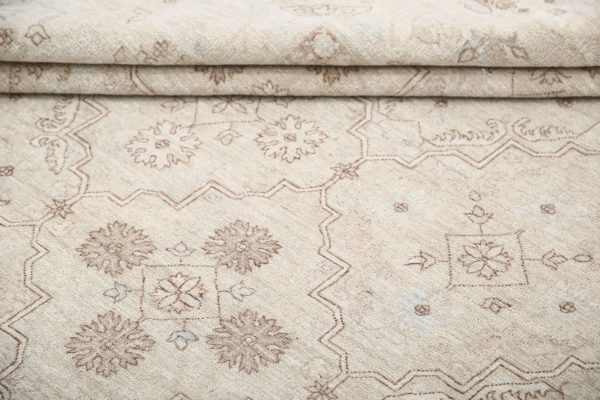 Brown Pakistani Ariana Rug 10'0" x 13'6" Hand-Knotted reverse