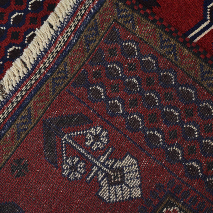 Afghan Prayer Rug 3'0" x 5'0" Hand-Knotted border