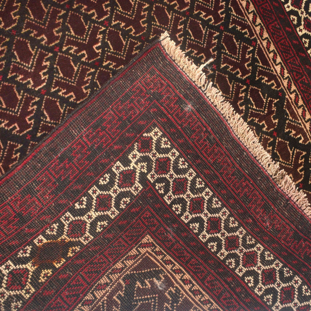 Afghan Prayer Rug 3' x 5' Hand-Knotted border