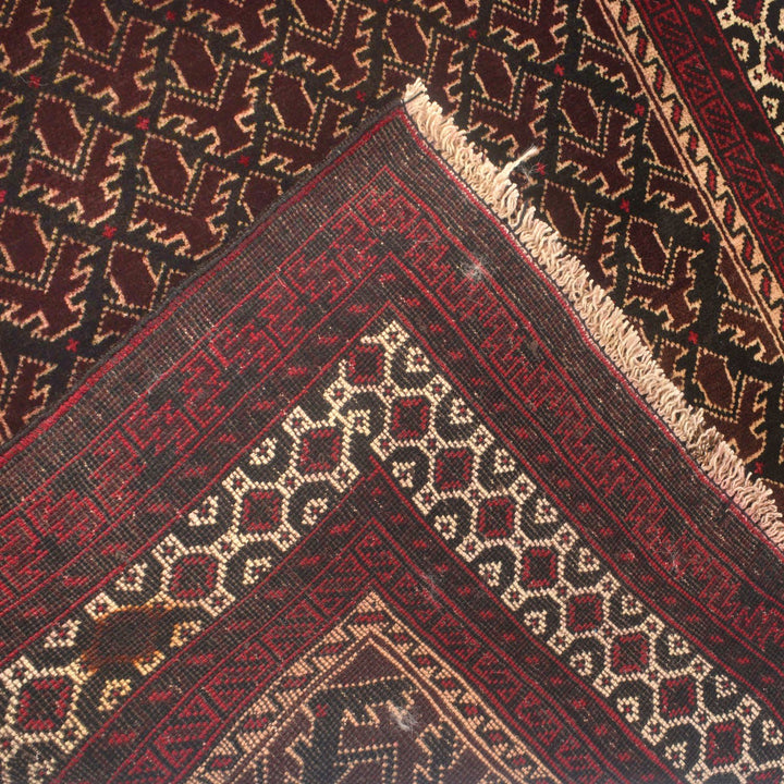 Afghan Prayer Rug 3' x 5' Hand-Knotted border
